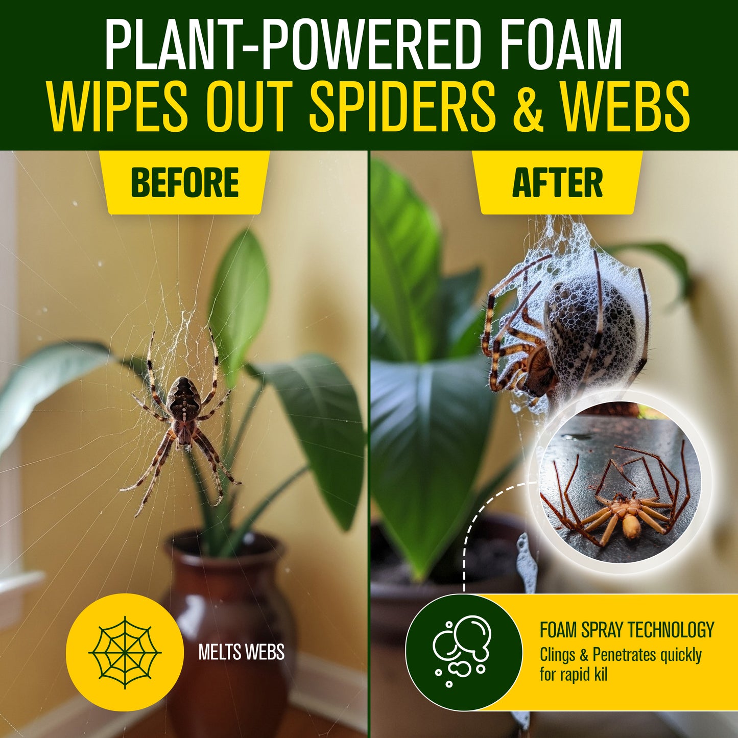 16 oz Citro Force Green Guard Pest Control Spray- Safe Around Children & Pets, Kills by Contact: Ants, Roaches, Spiders & Other Crawling Insects, Indoor and Outdoor, Pleasant Scent