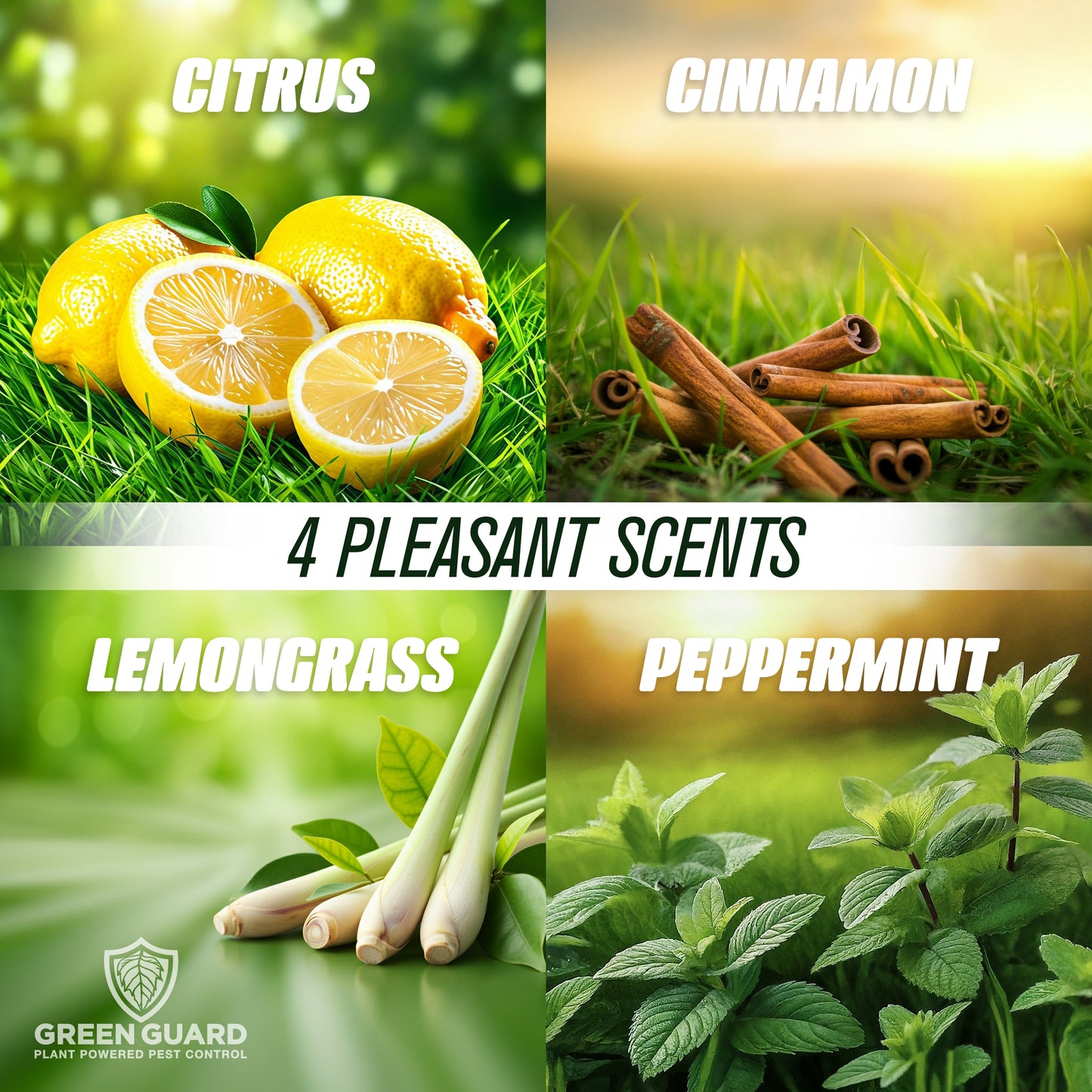 16 oz Lemongrass Blast Green Guard Pest Control Spray- Safe Around Children & Pets, Kills by Contact: Ants, Roaches, Spiders & Other Crawling Insects, Indoor and Outdoor