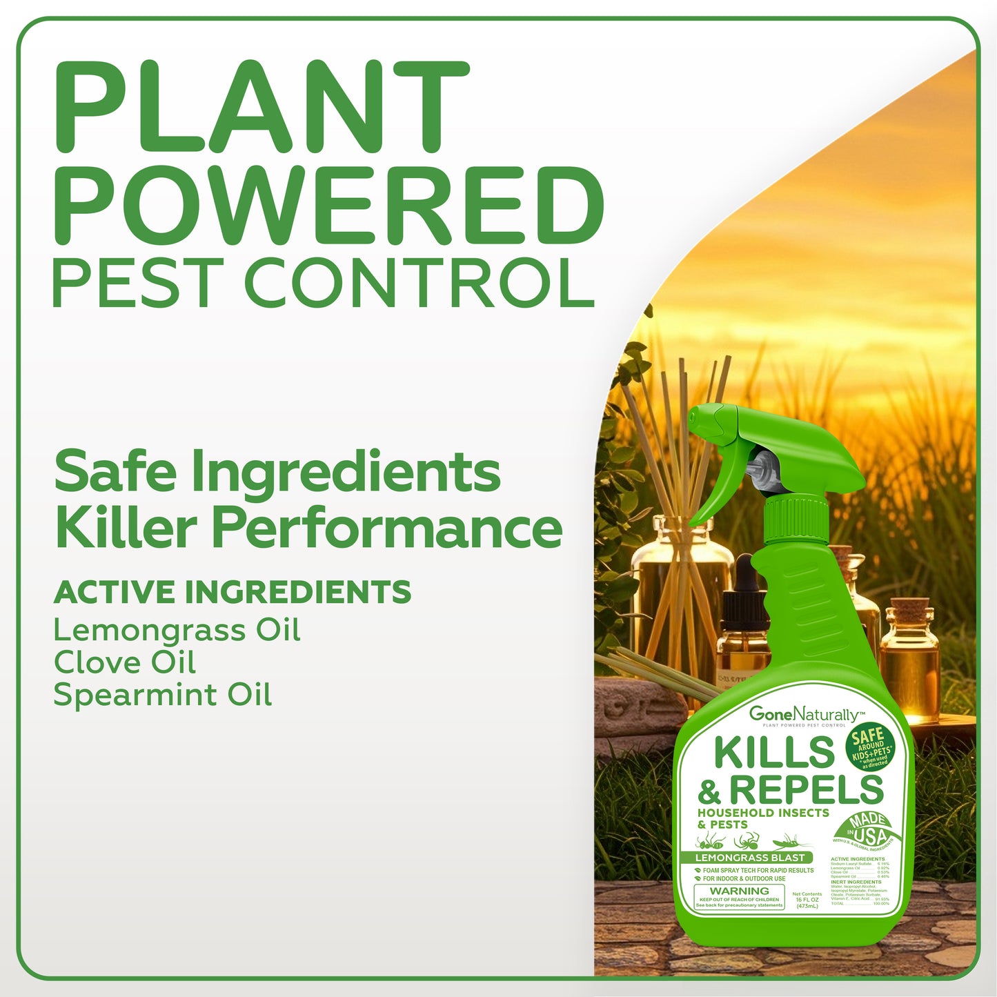 GoneNaturally Insect Repellent & Bug Spray for Home – Kills & Repels Ants, Roaches, Spiders, Flies, Mosquitoes, Silverfish & More – Safe for Kids & Pets – Indoor & Outdoor Use (Lemongrass Scent, 16oz)