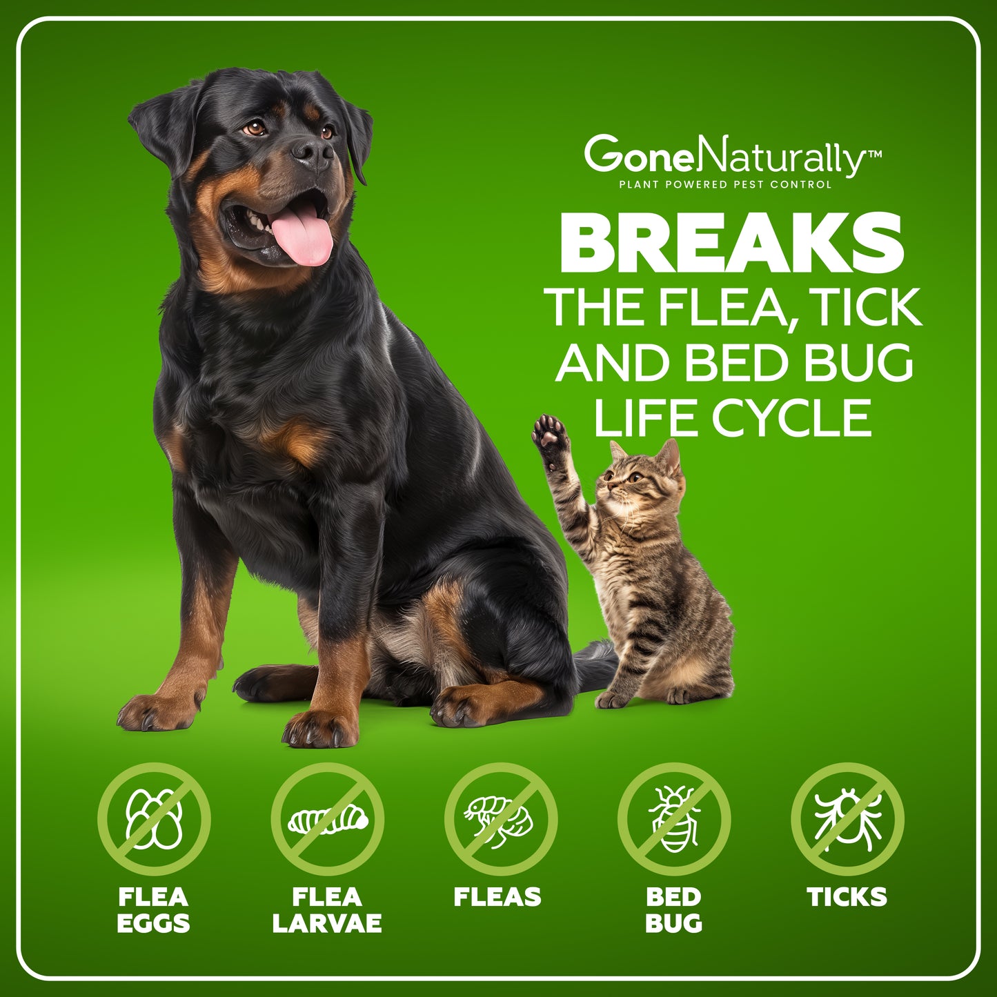 GoneNaturally Scentless Bed Bug Killer Spray. 16oz.