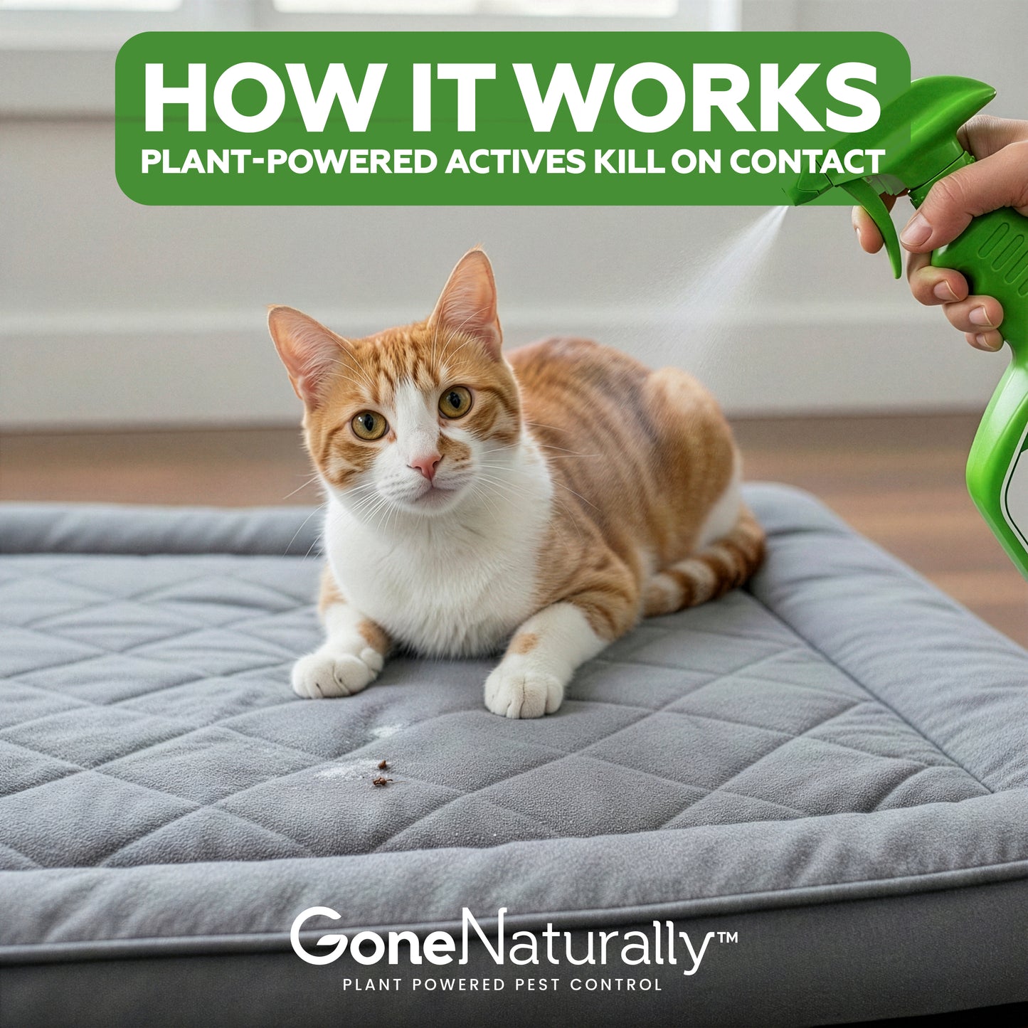 GoneNaturally Scentless Flea and Tick Spray for Cats & Home. 16oz.