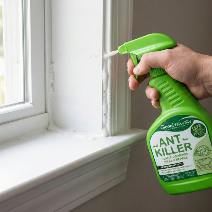 natural ant spray for garden GoneNaturally Ant Killer