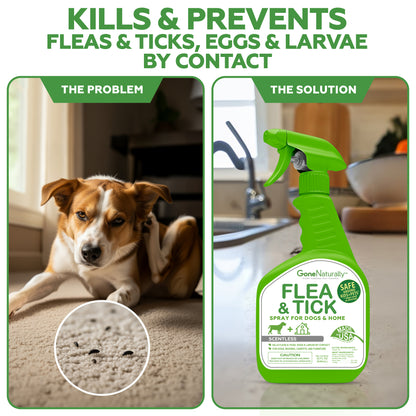 GoneNaturally Flea and Tick Spray for Dogs & Home–  Natural Flea and Tick Prevention for Dogs– Bed Bug Spray & Multi-Insect Killer– Scentless Plant-Based Formula Kills on Contact (32 oz)